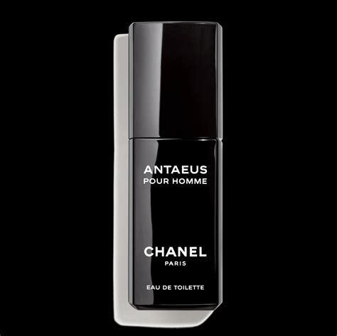 antaeus chanel eau de toilette 100ml ravelli|Chanel antaeus best price.